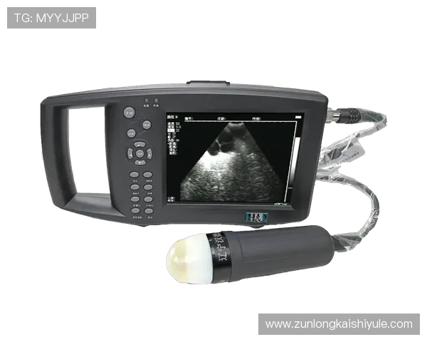 用户体验与尊龙凯时z6安全登录入口的优化建议详解